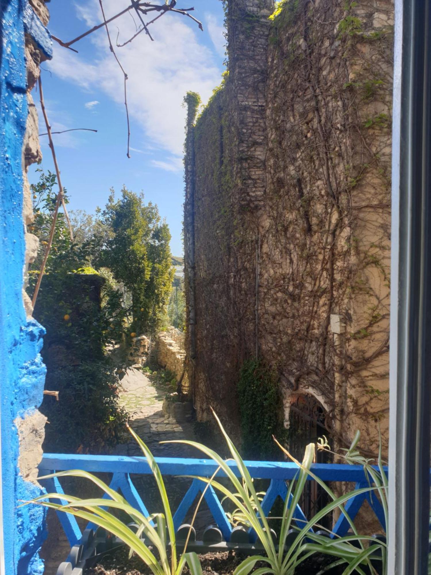 Casa Di Ingrida Bussana Vecchia Villa Sanremo Luaran gambar